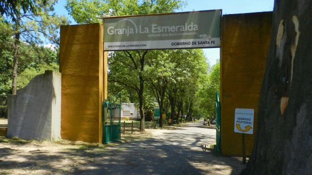 Los loros guacamayos&nbsp;hab&iacute;an sido robadas de la Granja La Esmeralda, en barrio Las Lomas, en Santa Fe.&nbsp;