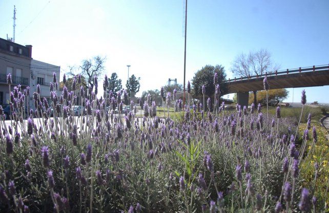 Finde de primvaera: &iquest;C&oacute;mo va a estar el tiempo en Santa Fe?