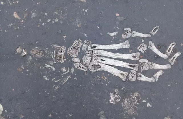 Las fotos tomadas por las asistentes escolares de Calchaqu&iacute;