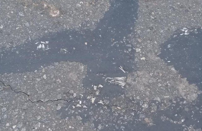 Las fotos tomadas por las asistentes escolares de Calchaqu&iacute;