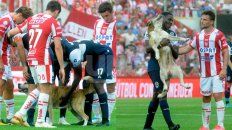 murio robertito, el perro que se gano el corazon del hincha de union murio robertito, el perro que se gano el corazon del hincha de union