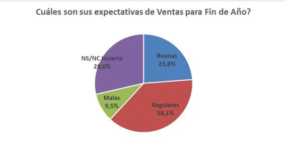 Expectativas próximas Fiestas de Fin de Año.
