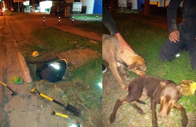 Los bomberos que participaron del rescate son Demian Guzmán, Patricio Batahuer y Ariel Oliva.