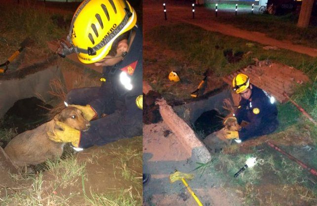 Los bomberos que participaron del rescate son Demian Guzmán, Patricio Batahuer y Ariel Oliva.