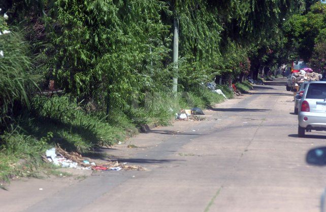 Vecinos reclaman limpieza y desmalezamiento en Pasaje Irala y Facundo Zuviría.