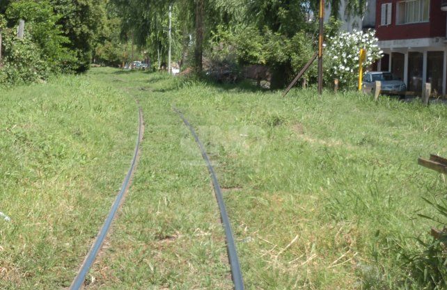 Altos pastizales sobre la vía del Belgrano Cargas en Pasaje Iral al 2800.