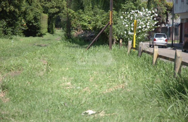 Los pastos altos sobre la vía del tren Belgrano Cargas y las grandes plantas convierten a la zona en una boca de lobo para arrebatos y en un vía de escape para los delincuentes.