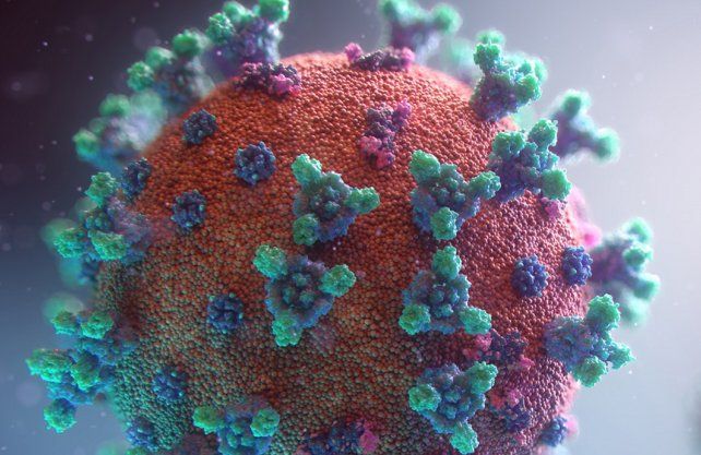 Coronavirus. Un estudio analizó cuánto tiempo permanente el virus sobre las distintas superficies