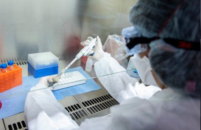Santa Fe no reportó nuevos casos de coronavirus y Villa Ocampo avanza a fase 3