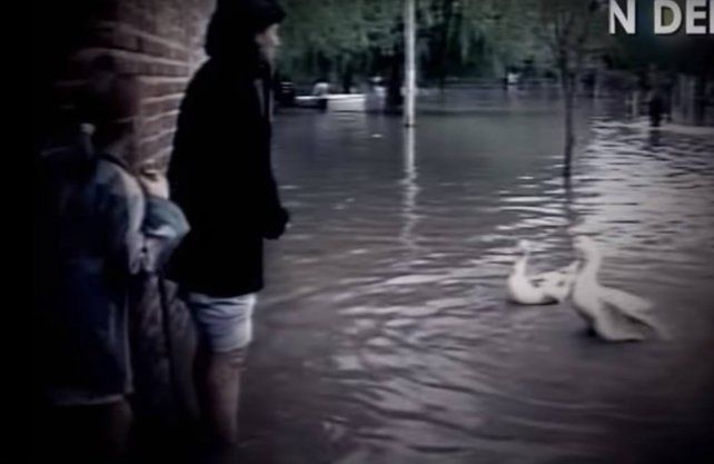 Ambas imágenes las tomé de un material fílmico llamado