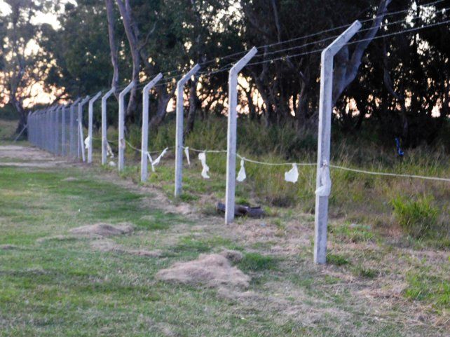 Los dirigentes del Tibur&oacute;n mostraron su malestar por este hecho delictivo.
