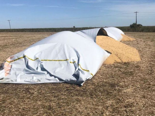 El proyecto de Gabriel Chumpitaz se vincula a los ataques registrados contra los silobolsas.&nbsp;