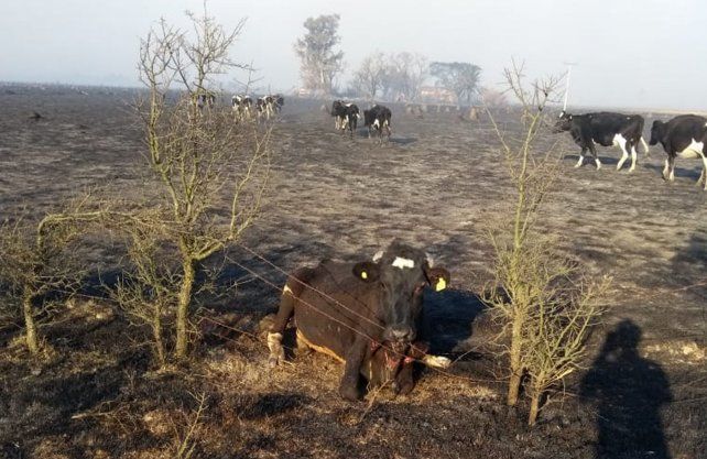 Imágenes del incendio en Bella Italia.