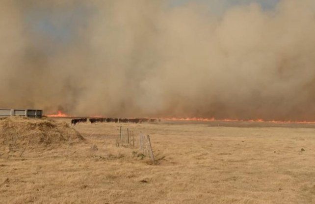 Imágenes del incendio en Bella Italia.