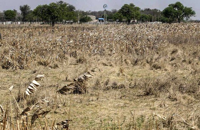 La sequ&iacute;a se mantiene en zonas productivas como el sudeste de Santa Fe y, principalmente el oeste cordob&eacute;s.