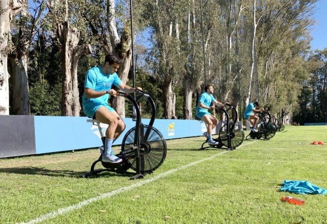 Los Pumas esperan poder viajar a Nueva Zelanda para continuar con los entrenamientos.