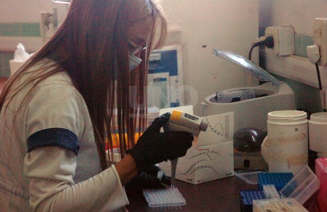 Un equipo de mujeres y varones trabajan en turnos de 16 horas para analizar los test por coronavirus.