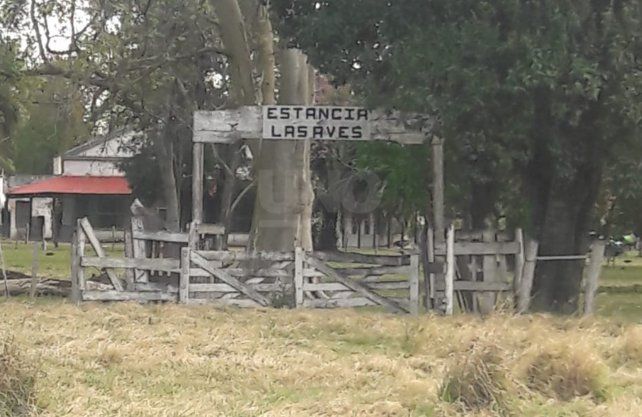 El lugar en dónde se encontraba el oso melero rescatado en Calchaquí 