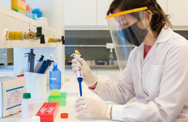 Las pruebas para la detecci&oacute;n de los anticuerpos en personas asintom&aacute;ticas son fundamentales para determinar qui&eacute;n ha contra&iacute;do el virus y si est&aacute; inmunizado frente a &eacute;l.