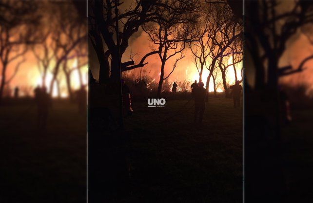 Un incendio de grandes proporciones alert&oacute; a vecinos de Altos del Sauce