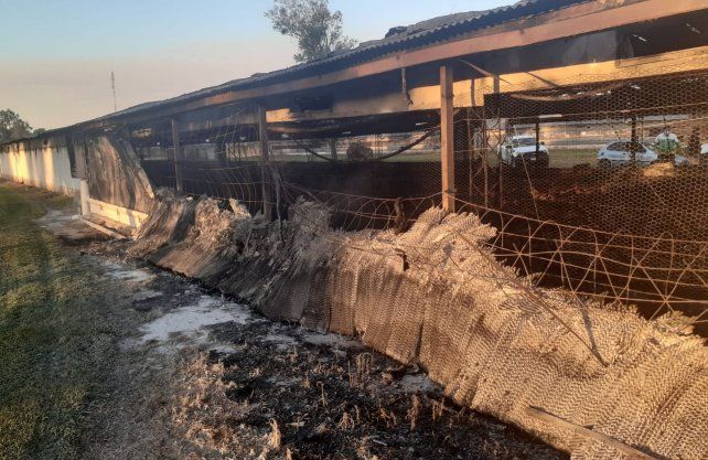 Los daños en la estructura de uno de los galpones de la empresa.