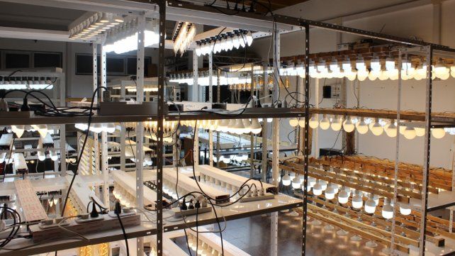 Investigadores santafesinos testean la eficiencia energética en las lámparas LED 