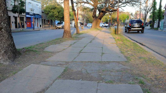 Se licitarán las obras para renovar la avenida J.J. Paso 