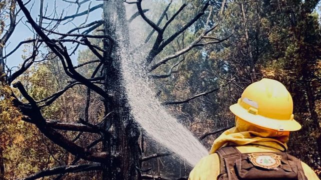 Brigadistas santafesinos combaten el fuego en Chubut: tres días de trabajo intenso, repliegue por riesgo y contención