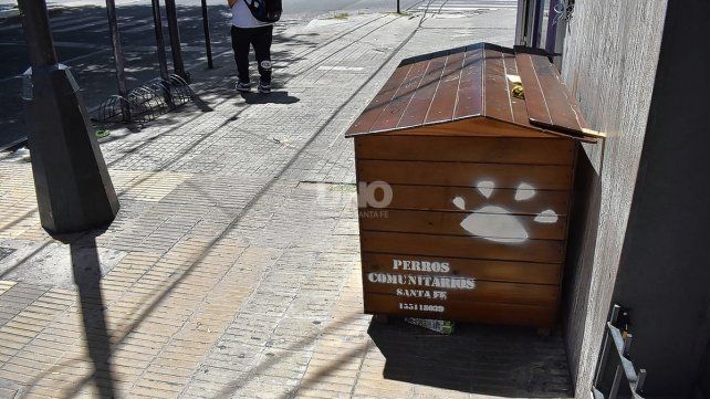 Las cuchas comunitarias son una iniciativa de la asociación de Perros Comunitarios. Cada año construyen 100 casitas para proteger del frío a los perros de la ciudad.