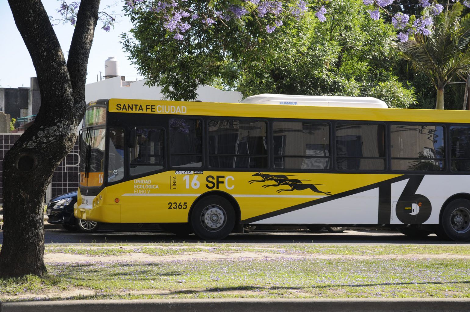 Colectivos: el gobierno anunció que el transporte urbano será gratuito el 14 de noviembre