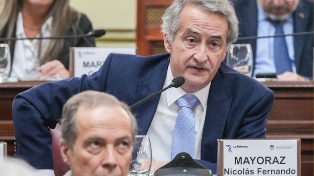 Nicol&aacute;s Mayoraz, convencional constituyente