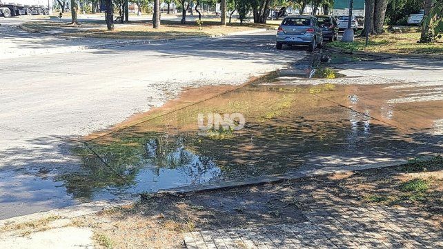 Barrio Candioti Sur. Vecinos en alerta por una pérdida de agua que lleva meses. 