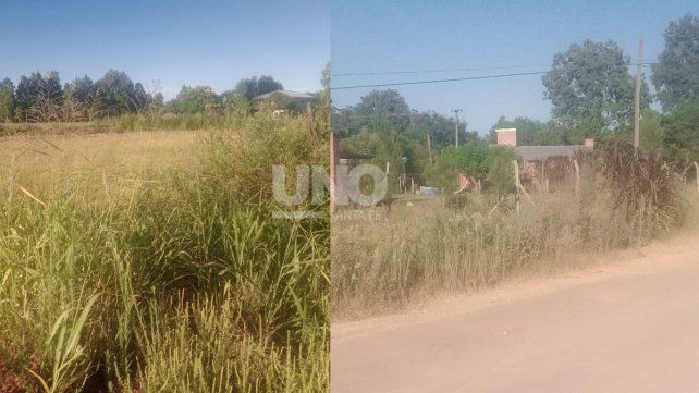 Falta de iluminaci&oacute;n, calles en mal estado y yuyos altos: denuncian abandono en un hist&oacute;rico barrio de Rinc&oacute;n