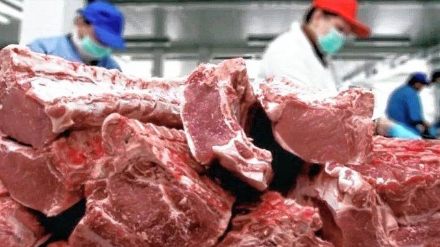 Para el ministro Julián Domínguez, este será un año récord de exportación de carne. 