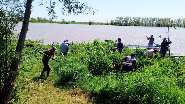 Los lancheros y el Comité Organizador realizaron tareas de limpieza en la costanera de Coronda. Los lancheros y el Comité Organizador realizaron tareas de limpieza en la costanera de Coronda.