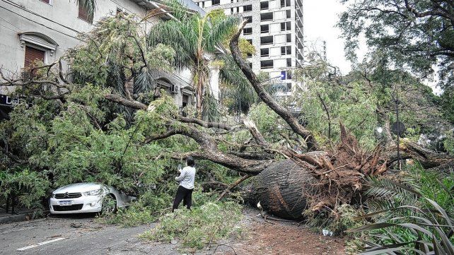 Así cayó uno de los árboles en pleno Bulevar y Güemes por un temporal en febrero de 2021. Foto: archivo UNO Santa Fe.