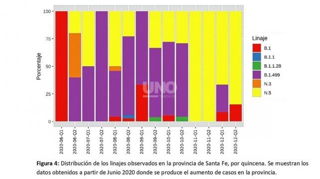 Distribución de los linajes observados en la provincia de Santa Fe, por quincena. Proyecto Argentino Interinstitucional de genómica de SARS-CoV-2. Reporte nº 21– Provincia de Santa Fe.
