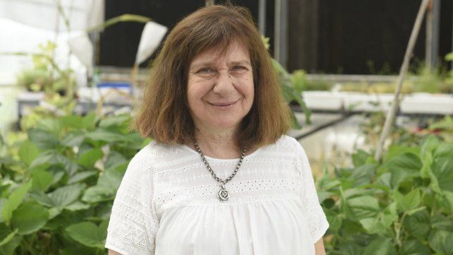 Raquel Chan, bioquímica, científica e investigadora argentina.