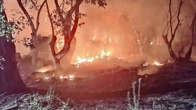 Cerca de la medianoche se produjo un incendio de pastizales en el predio que obligó a la intervención de los Bomberos Zapadores.
