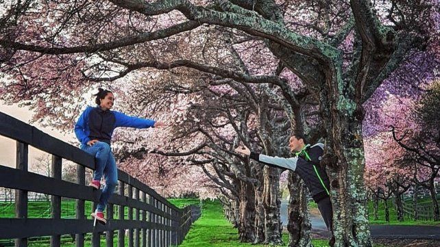 Romina y Federico, argentinos viviendo en Nueva Zelanda.