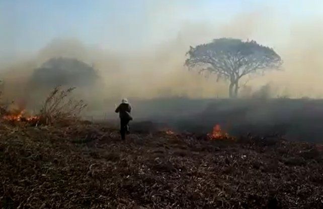Multisectorial humedales Santa Fe y La Capital