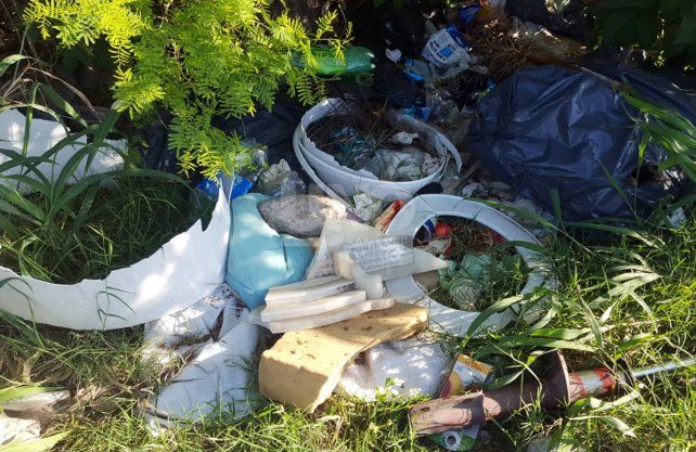 Los restos encontrados por los vecinos en el lugar.