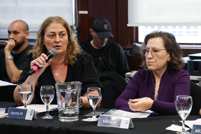 La ministra de Salud de Santa Fe, Silvia Ciancio, asisti&oacute; este lunes a la reuni&oacute;n del Consejo Federal de Salud (Cofesa).