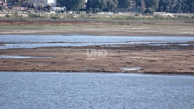 La seca de las lagunas afectó a los depredadores de los mosquitos.
