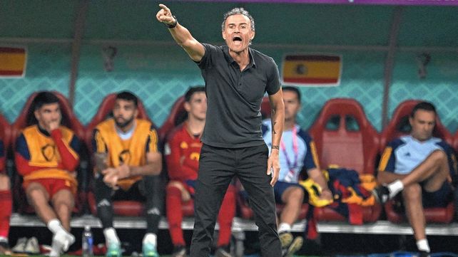 Luis Enrique ser&aacute; el nuevo DT de PSG.