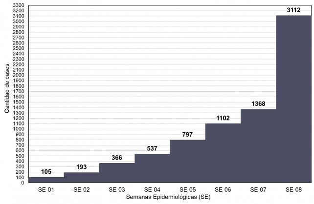 Los datos de casos de dengue en la provincia según la semana epidemiológica.