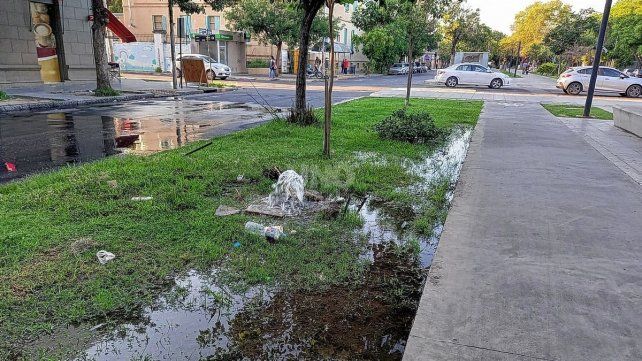 Pérdida de agua en el cantero central de avenida Freyre