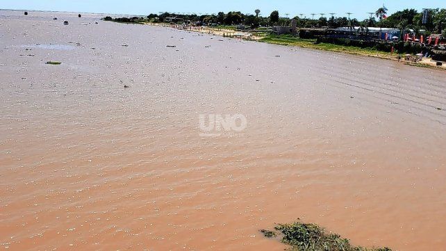 La crecida del río Paraná se refleja con el paso de los camalotes frente a las costas de la ciudad.