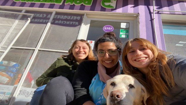 Shastir, un labrador de 10 años, regresó a su casa tras estar 5 años perdido. 