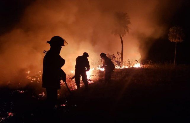 El trabajo de los Bomberos Zapadores de Vera en el campo de el Paraje Los Palmares. 